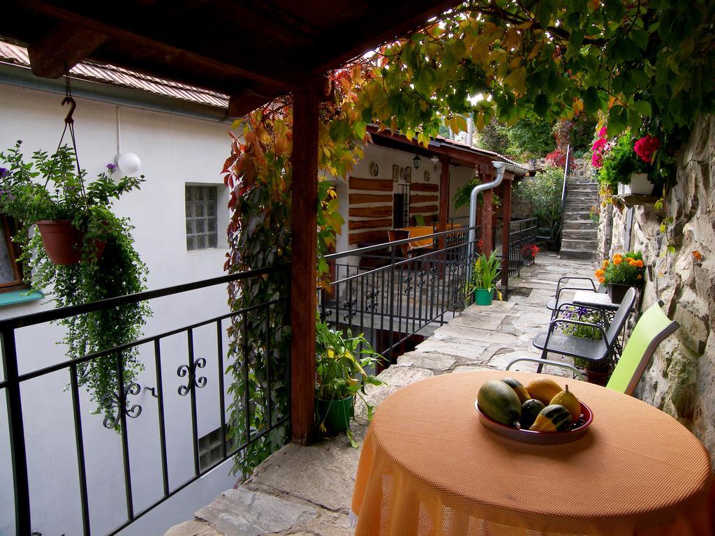 Pension Hamry Vranov nad Dyji Exterior photo